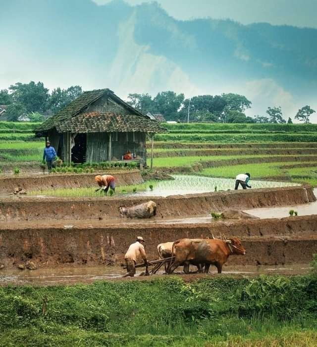 Penyaluran Bantuan Sosial Berjalan Tertib dan Transparan
