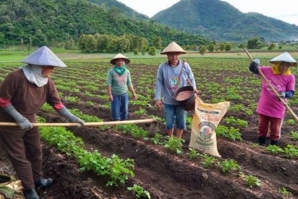 Ketahanan Pangan Desa